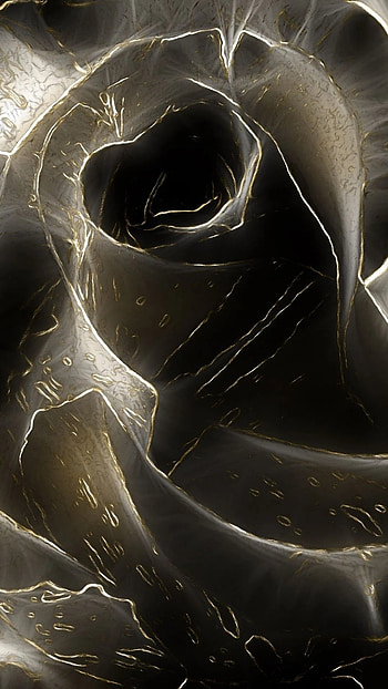 Black Flowers, Digital Art HD phone wallpaper