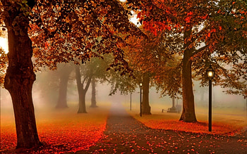 Autumn alley, Park, Lantern, Autumn, Trees, Leaves HD wallpaper