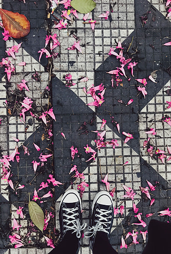 Flowers, Leaves, Miscellanea, Miscellaneous, Legs, Sneakers, Shoes HD phone wallpaper