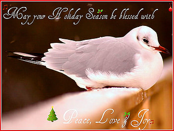 Peace, Love, Joy, dove, 2011, white and grey, peace love joy, new year wish HD wallpaper