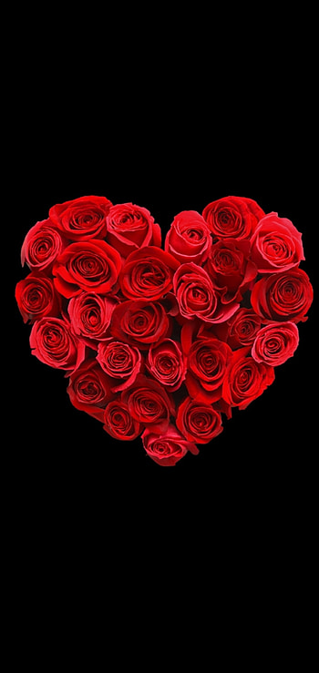Rose Heart, floral, love, flowers, petal, rose_heart, valentines_day, roses HD phone wallpaper