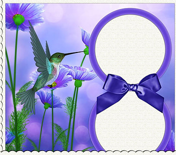 FANTASY SET, hummer, purple, bird, card, flowers HD wallpaper
