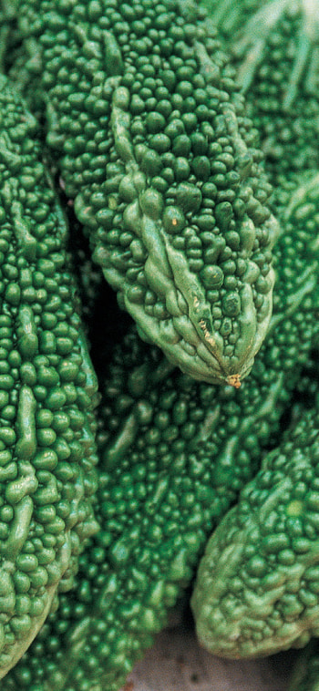 Bunch of bitter gourd, Nutritional powerhouse, Health benefits, Unique vegetable HD phone wallpaper