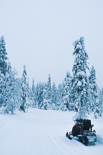Winter, Nature, Trees, Snow, Snowmobile HD phone wallpaper