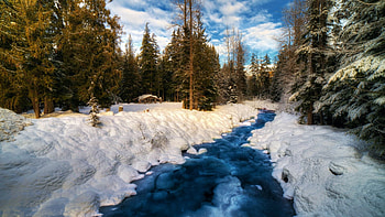 Snowy River, forest, ice, snow, clouds, trees, sky HD wallpaper