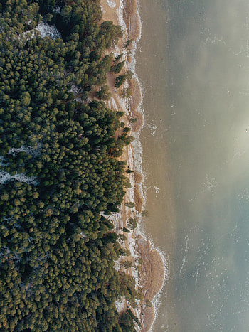 Nature, Water, Beach, Sand, View From Above, Shore, Bank, Forest HD phone wallpaper