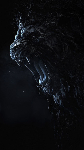 Black Lion, King HD phone wallpaper