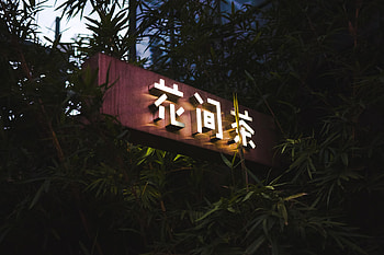 Hieroglyph, Words, Branches, Illumination, Backlight, Inscription HD wallpaper