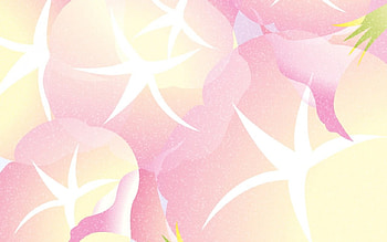 Pink Morning Glory, morning glory, abstract, trumpet flowers HD wallpaper