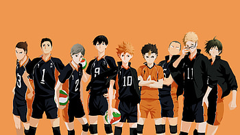 Haikyuu!!, iPad , Top , Backgrounds HD wallpaper