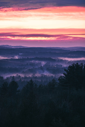 Nature, Trees, Sunset, Sky, Forest, Fog, Evening HD phone wallpaper