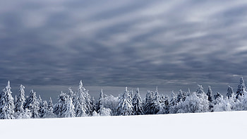 Winter Snow, sky, nature, Winter, Snow HD wallpaper