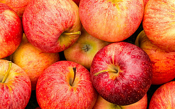 Ripe apples, Background, High quality HD wallpaper