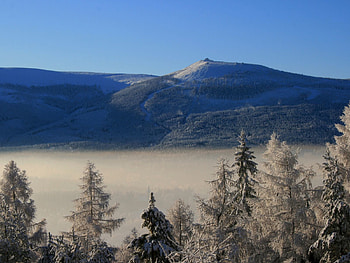 Nature, Trees, Clouds, Mountain, Fog, Height, Frost, Hoarfrost, Ate HD wallpaper