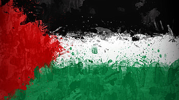 Palestine Flag HD wallpaper