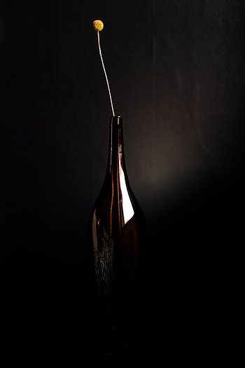 Flower, Dark, Vase, Bottle HD phone wallpaper