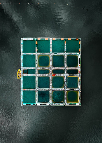 Nature, Water, View From Above, Lake, Boat, Pool HD phone wallpaper