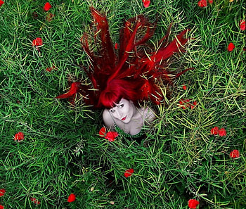 Red and green, green field, red flowers, red hair, woman HD wallpaper