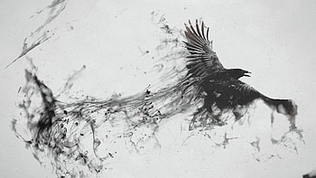raven, bird, flying, smoke, black white HD wallpaper