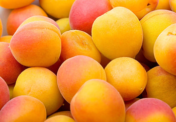 Celebrate National Apricot Day, January 9th, Delicious apricot recipes, Apricot-themed festivities HD wallpaper