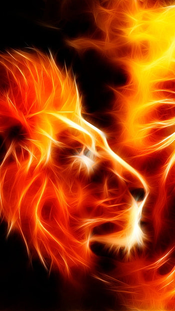 Fire Lion, Fire Background HD phone wallpaper