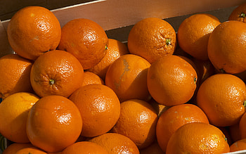 Fruits, Food, Background, Oranges HD wallpaper