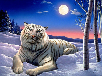 dream_fantasy, cool, dream-fantasy HD wallpaper