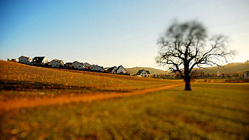 Nature, Houses, Wood, Tree, Blur, Utah, Lonely, Polyana, Glade, Effect, Small Houses, Decrease, Diminution HD wallpaper