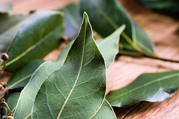 Bay leaves, Excessive usage, Spiceography HD wallpaper