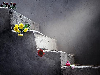 stairs, flowers, simple, light HD wallpaper