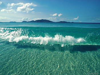Beach, nature HD wallpaper