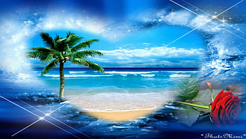 Summer Heart, blue, sea, summer, pretty, beautiful, red rose, heart, beach HD wallpaper