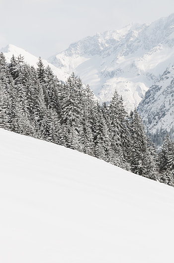 Landscape, Winter, Nature, Trees, Mountains, Snow HD phone wallpaper