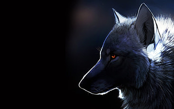 3D Wolves HD wallpaper