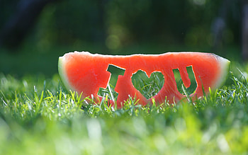 Watermelon fruit love, Heartwarming , Sweet gesture, Romantic ry HD wallpaper