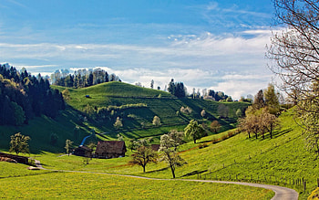 Landscape, Nature, Trees, Grass, Hills HD wallpaper