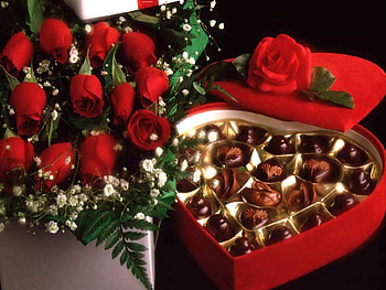 Token of My Affection, rose, love, red, heart, candy HD wallpaper