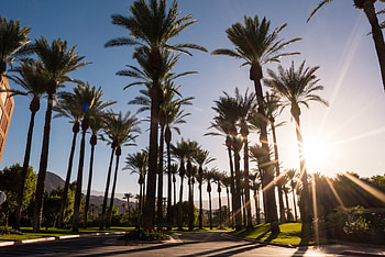 Riverside County wedding, Renaissance Indian Wells, Monica & Jonathan HD wallpaper