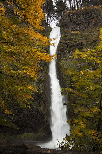 Nature, Autumn, Waterfall, Slope HD phone wallpaper