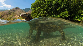 Komodo Island, Closing down, Cond Nast Traveller, Indonesia HD wallpaper