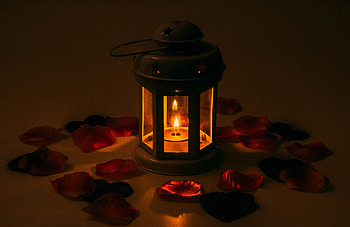 Miscellanea, Miscellaneous, Petals, Candle, Candlestick HD wallpaper