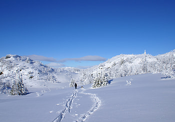 Winter, Nature, Snow, Dog, Stroll, Human, Person, Drifts, Hunt, Hunting, Traces, Cover HD wallpaper