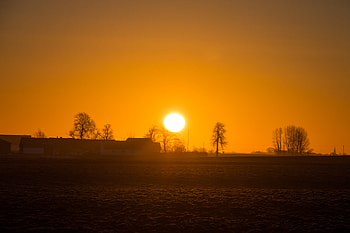Nature, Sun, Dawn, Horizon, Wood, Tree, Fog, Rise, Sunrise HD wallpaper