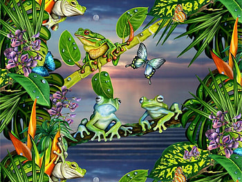 Frogs and butterflies for Di, butterflies, abstract, plants, frogs, water HD wallpaper