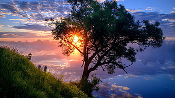 Morning Sunrise above the river, water, tree, colors, landscape, clouds, sky, sun HD wallpaper