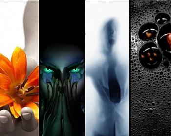 Madness, man, flower, love, eyes, heart HD wallpaper