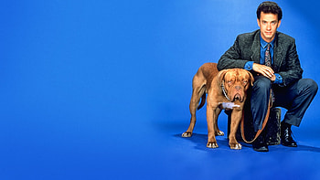 Turner and Hooch (Movies), 1989 movie, , Tom Hanks HD wallpaper
