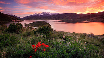 Deer Creek, Heber Valley, Utah, hills, clouds, landscape, sky, flowers, usa, lake HD wallpaper