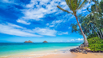 Lanikai Beach, Oahu, Hawaii, sky, rocks, palm trees, sea, clouds, usa HD wallpaper