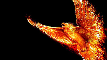 Guide to Install Phoenix On Kodi 17 Krypton HD wallpaper